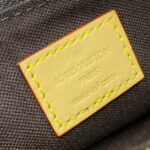 Louis Vuitton Liv Pochette M83008 Brown